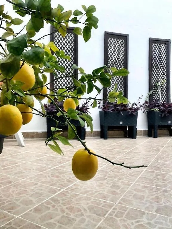 بيت للعطل House In Varos سبليت كرواتيا